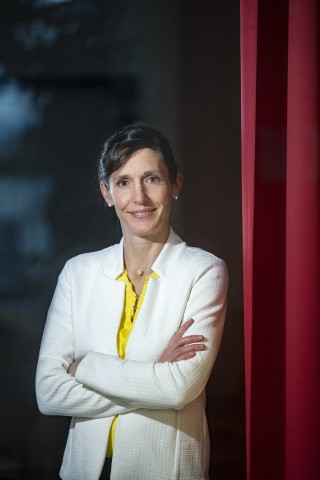 Stiftung Paradies